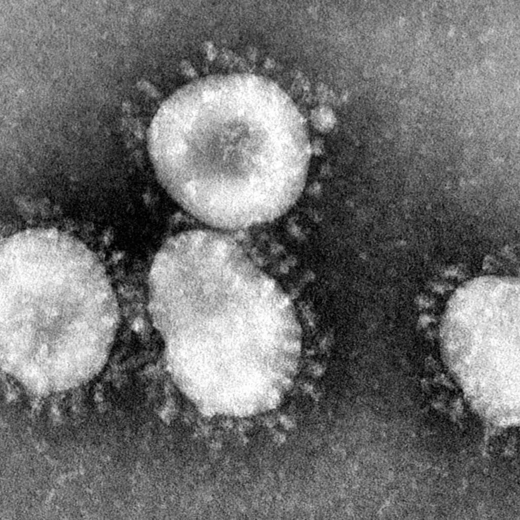 An icosahedral virus capsid glowing in cyan and violet, RNA visible inside.